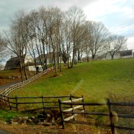 Fish Family Farm Bolton, CT