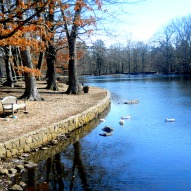 stamford lake