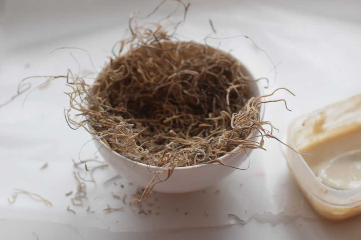 making Spanish moss bird nest 