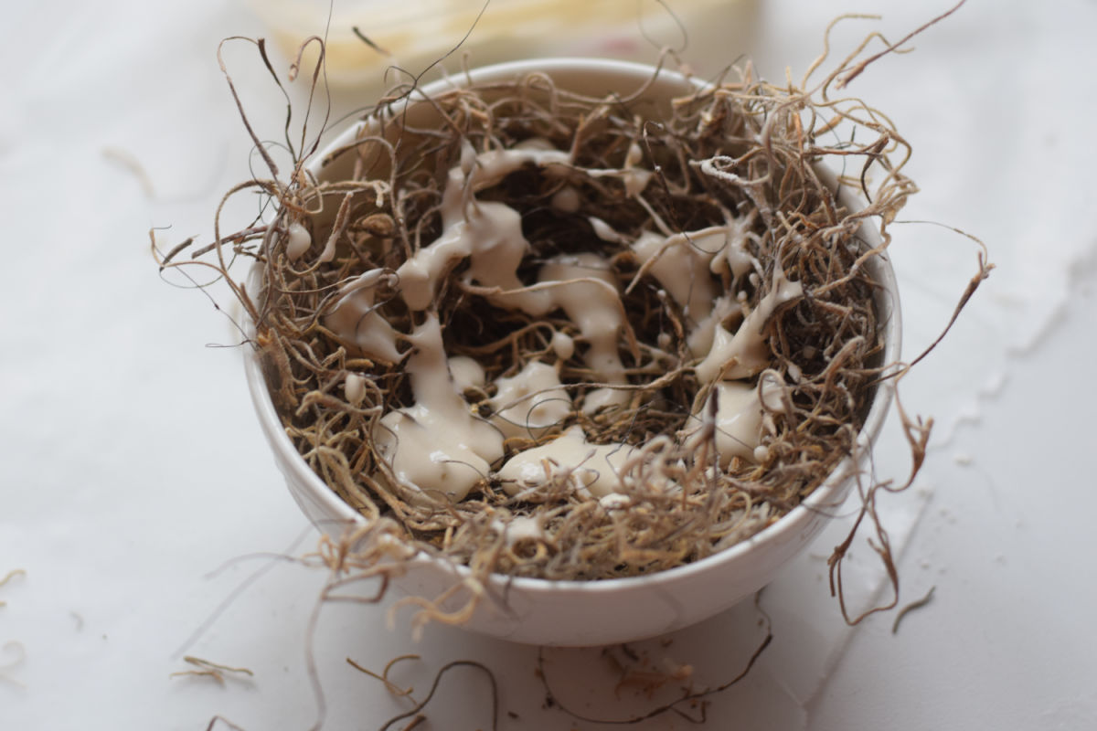 making Spanish moss bird nest 