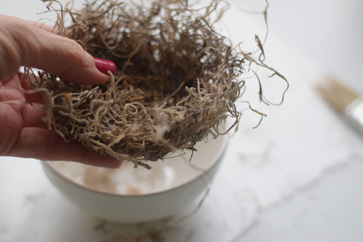 making Spanish moss bird nest 