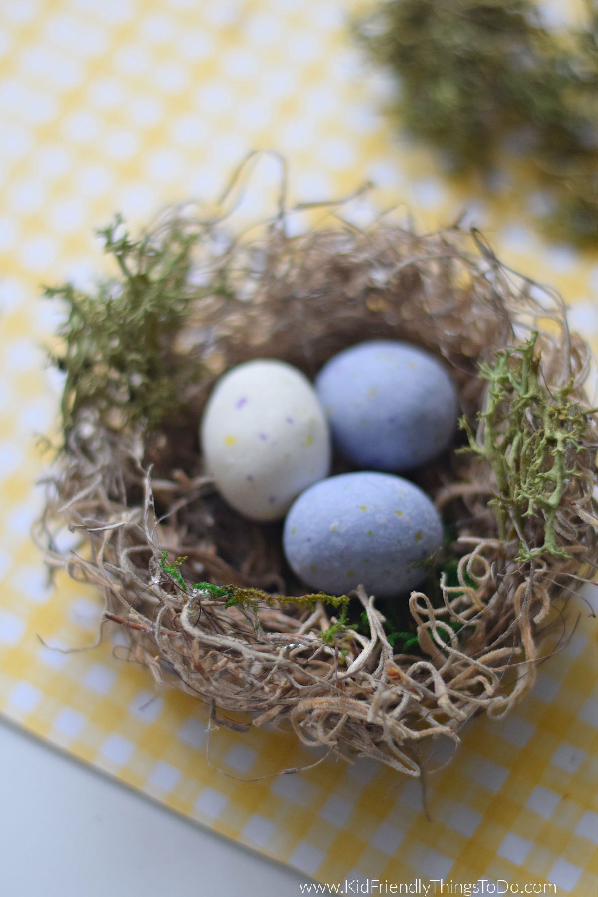 Spanish moss bird nest 