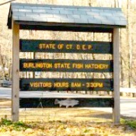 DEP Fish Hatchery Sign