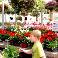 Flower Farm in Connecticut