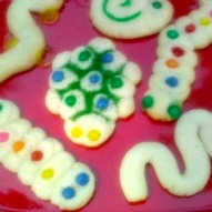 bug shaped cookies