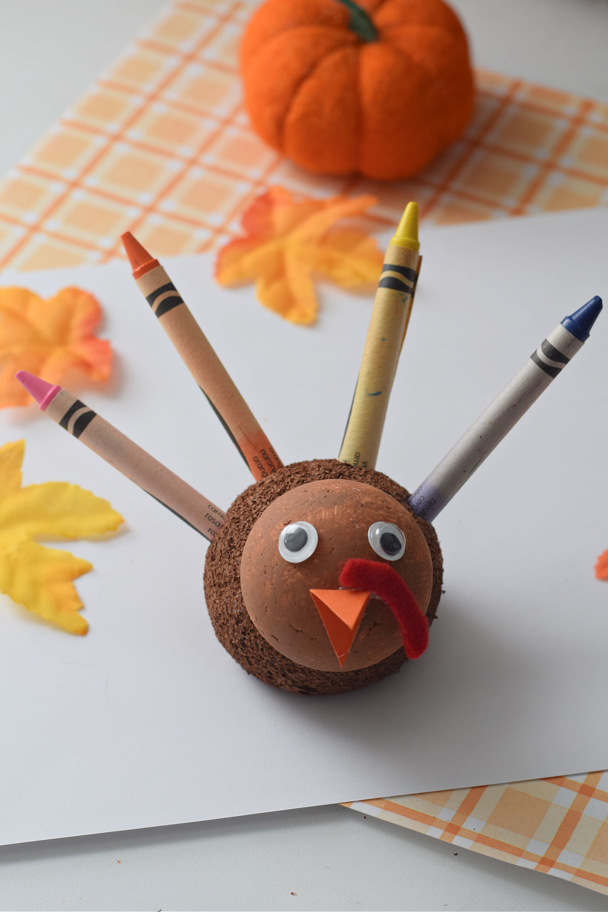 Styrofoam turkey craft 