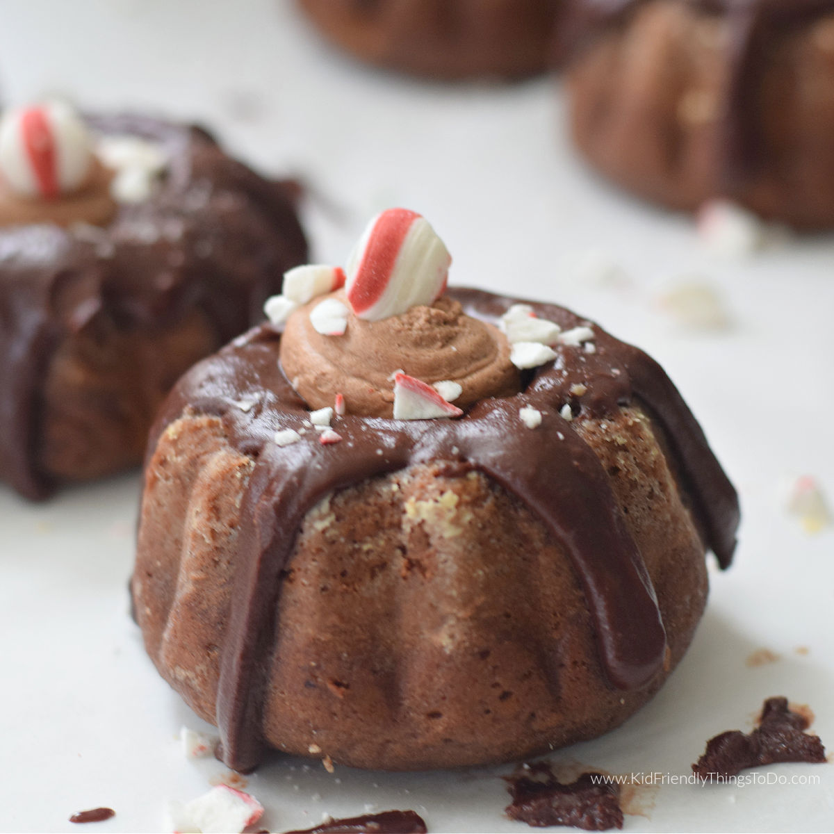 mini chocolate Bundt cakes