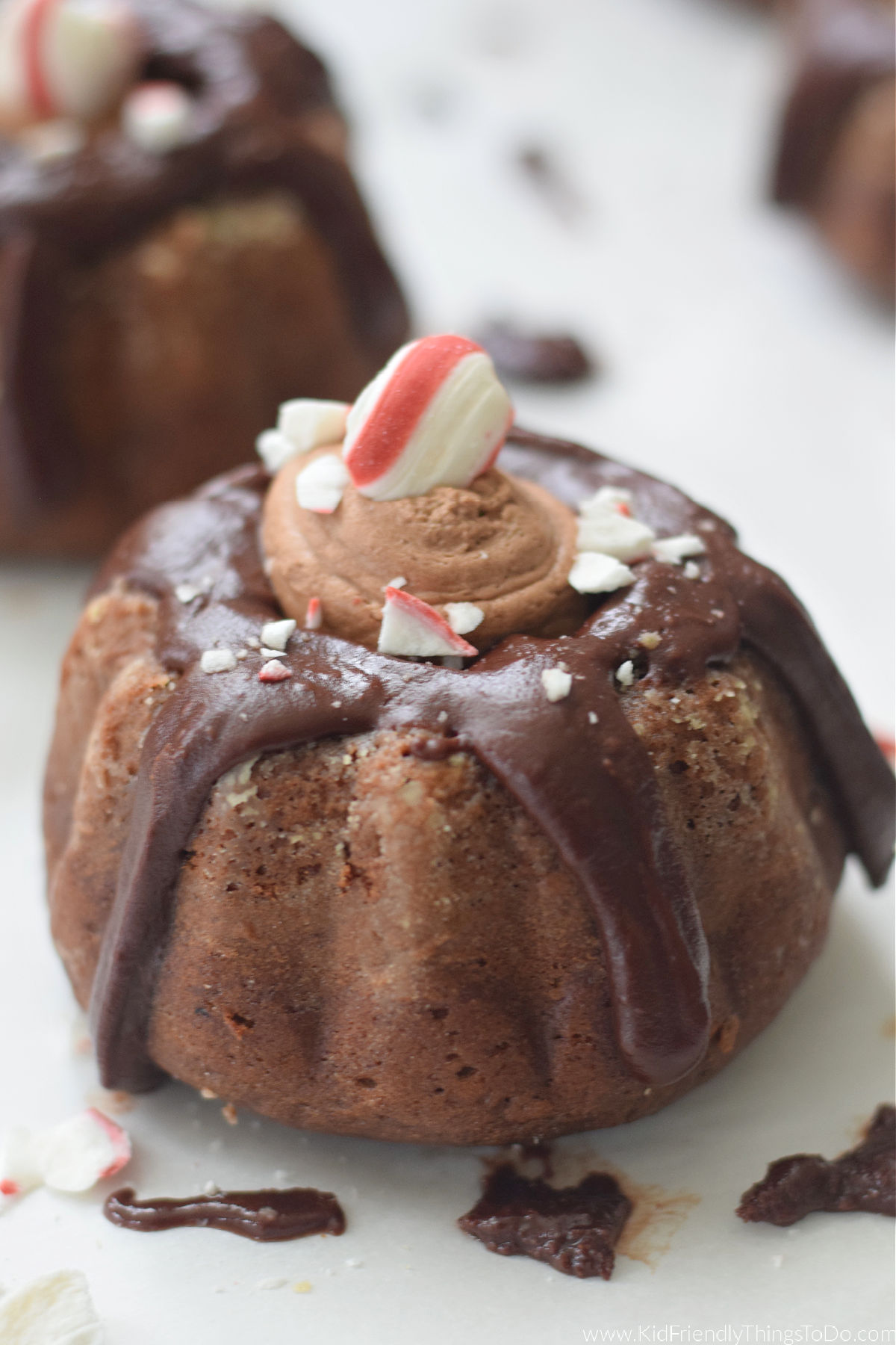 mini chocolate Bundt cakes 