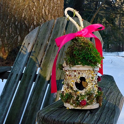 Edible Bird Seed Glue To Decorate Bird Houses