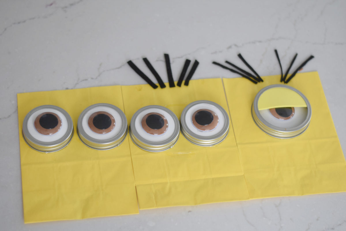 Minion craft bags 