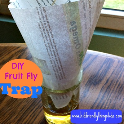 DIY Fruit Fly Trap