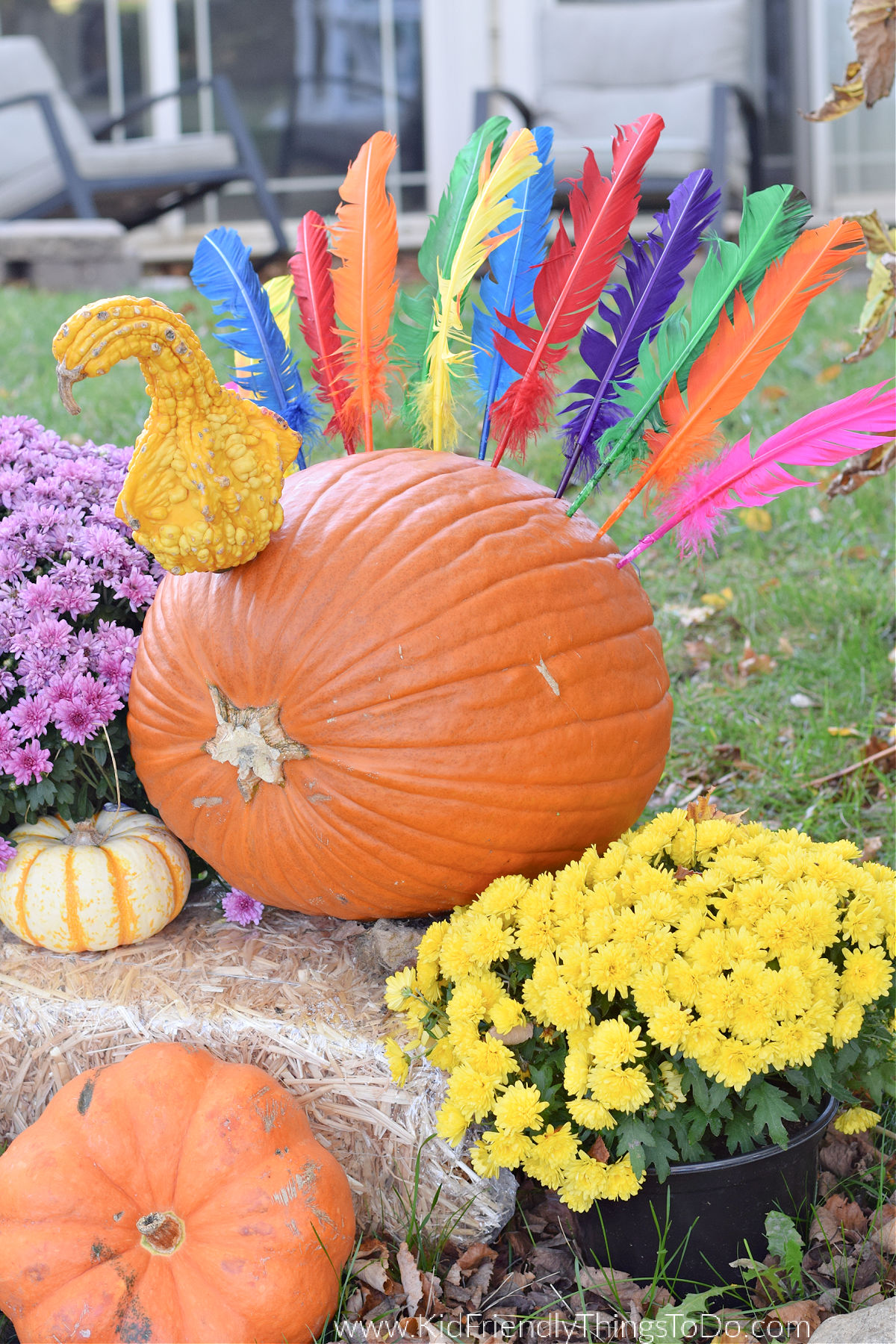 turkey pumpkin