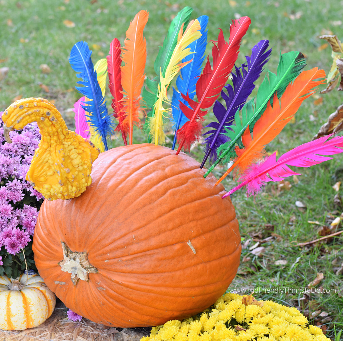 turkey pumpkin