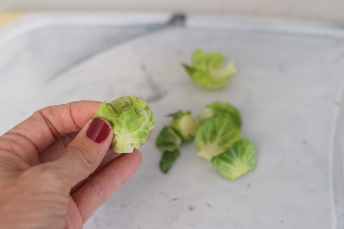 preparing Brussel sprouts