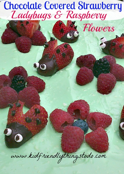 Strawberry Ladybugs and Raspberry Flowers