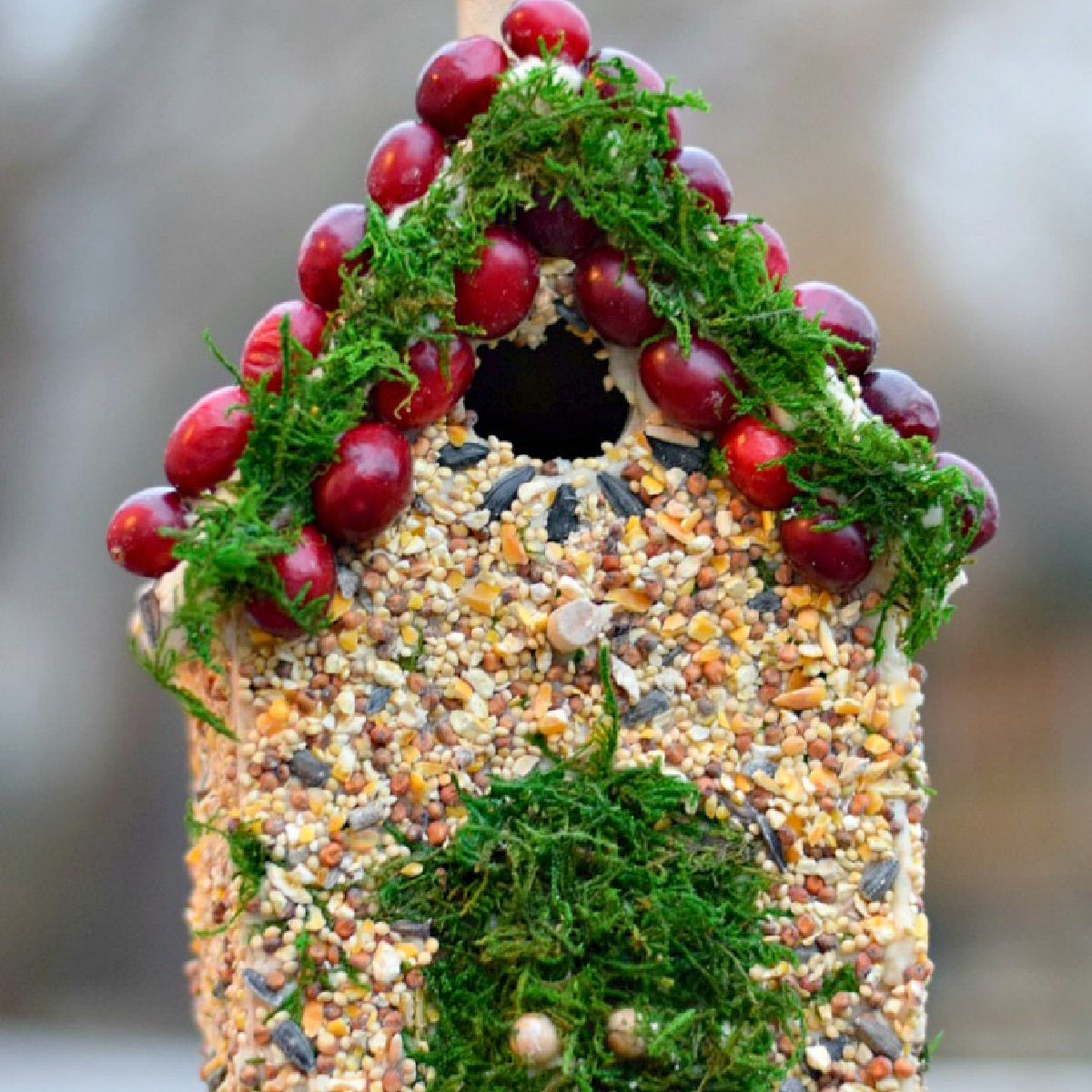 decorated birdhouse with birdseed glue