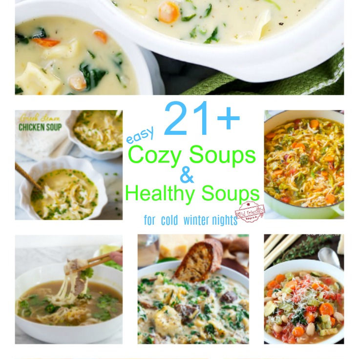 Over 21 Cozy Soups for fall and winter