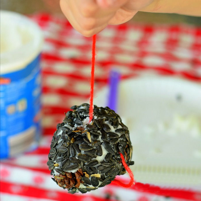 DIY pine cone bird feeder