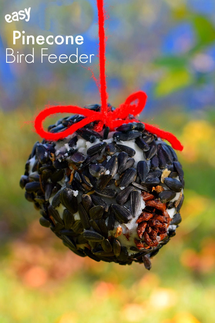 DIY pine cone bird feeder