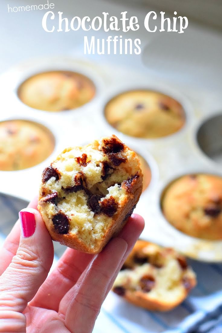 Chocolate Chip Muffins