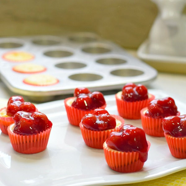 mini cheesecake bites