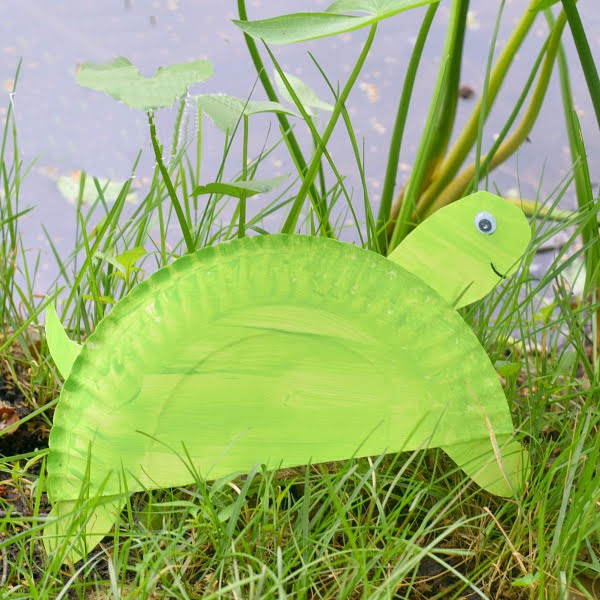 paper plate turtle