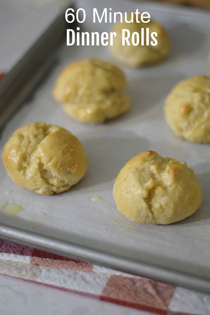 easy dinner rolls recipe