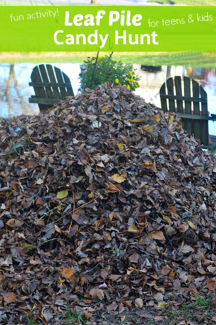 leaf pile hunt a fall and Thanksgiving game 