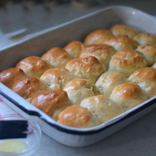 amish dinner rolls