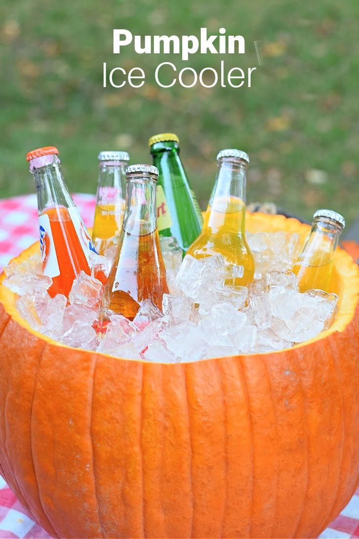 pumpkin cooler 