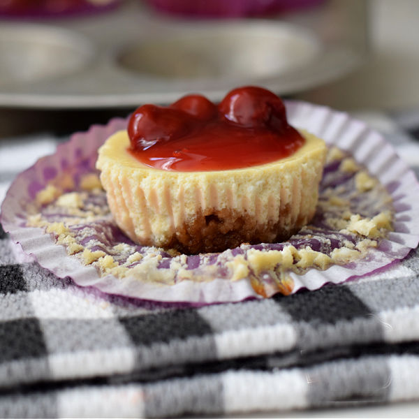 mini cheesecake recipe