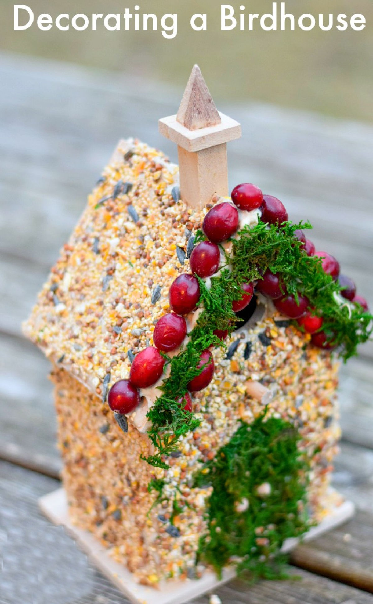 decorating birdhouses 