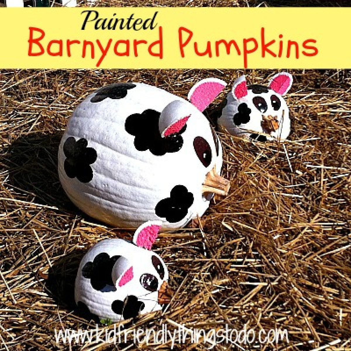 cow painted pumpkins